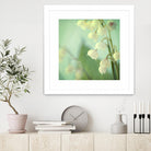 Lily of the Valley by Judy Stalus on GIANT ART - multicolor photography; floral/still life