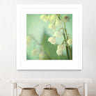 Lily of the Valley by Judy Stalus on GIANT ART - multicolor photography; floral/still life