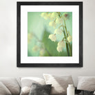 Lily of the Valley by Judy Stalus on GIANT ART - multicolor photography; floral/still life