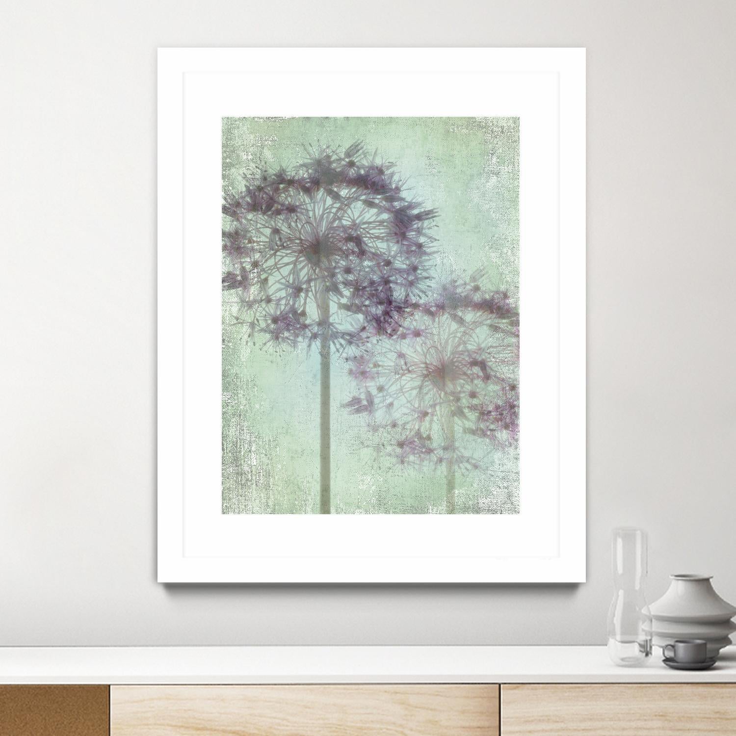 Allium Globe Master by Judy Stalus on GIANT ART - multicolor photography; floral/still life