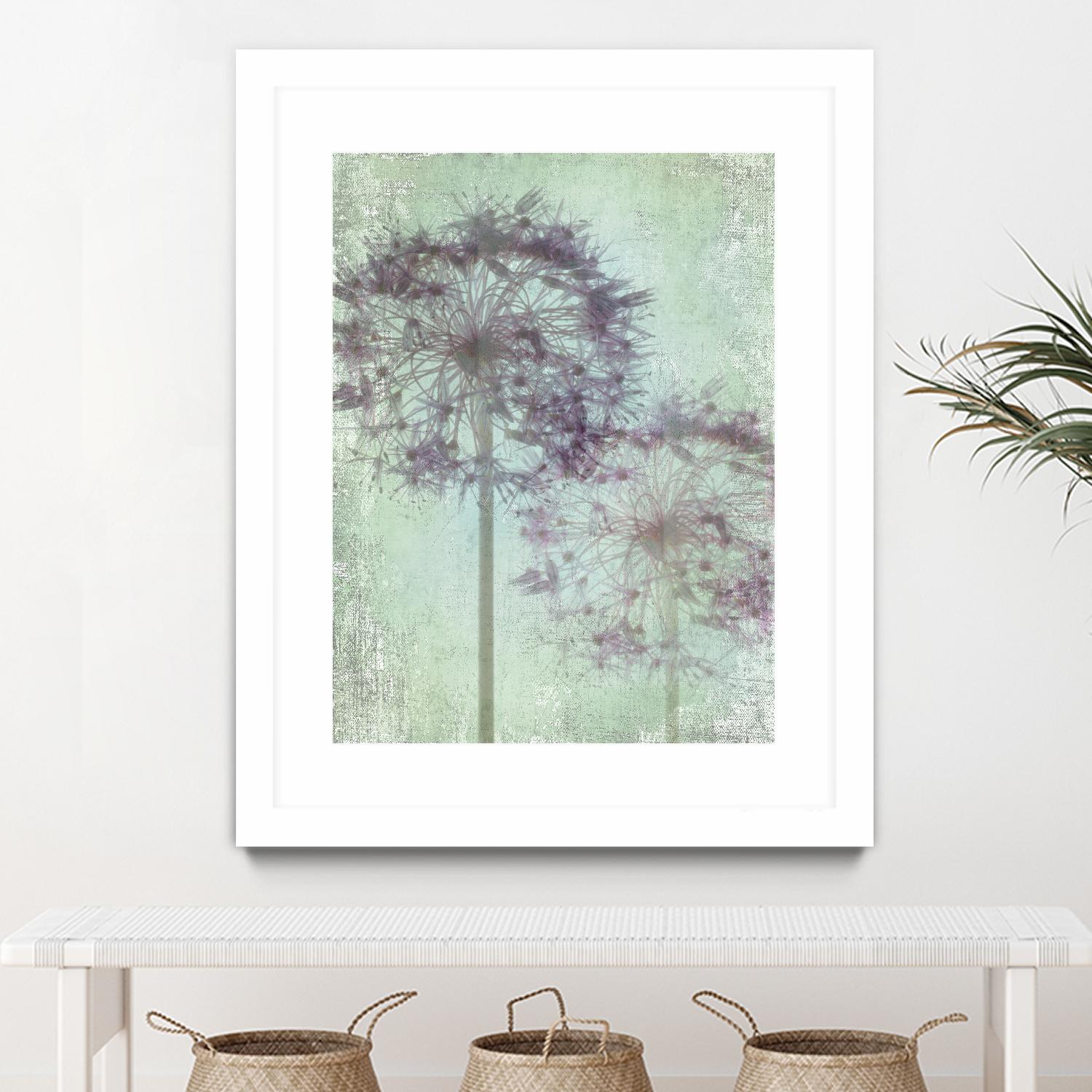 Allium Globe Master by Judy Stalus on GIANT ART - multicolor photography; floral/still life