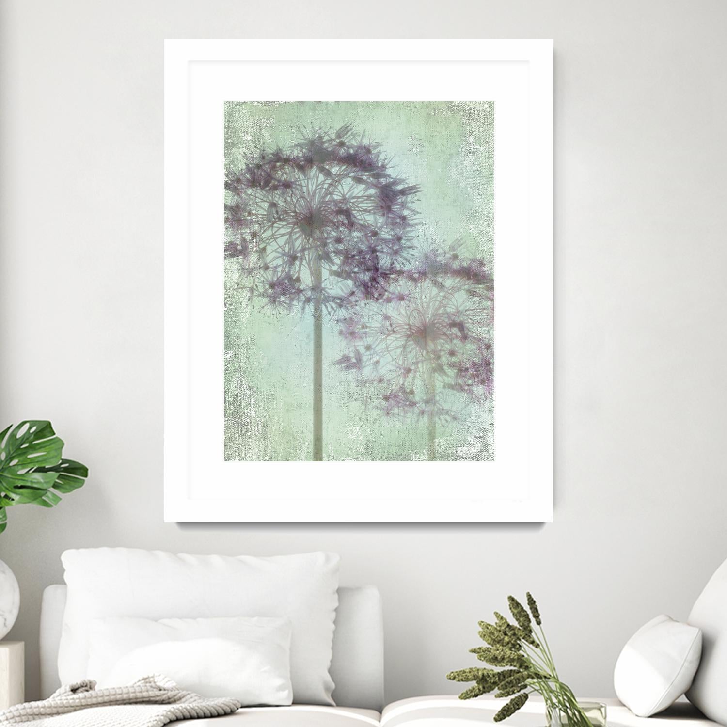 Allium Globe Master by Judy Stalus on GIANT ART - multicolor photography; floral/still life