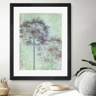 Allium Globe Master by Judy Stalus on GIANT ART - multicolor photography; floral/still life