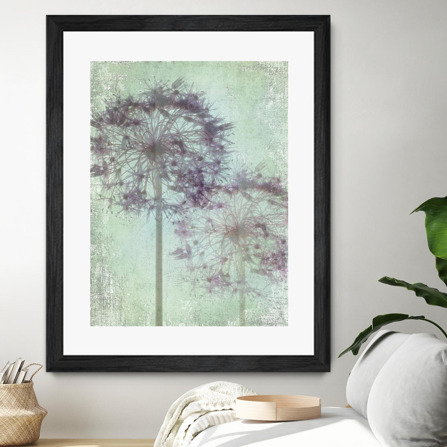 Allium Globe Master by Judy Stalus on GIANT ART - multicolor photography; floral/still life