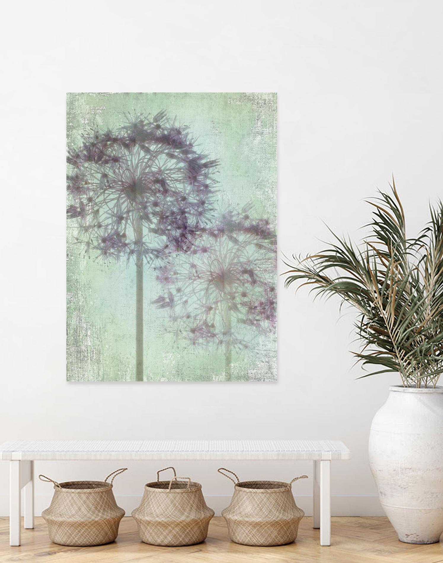 Allium Globe Master by Judy Stalus on GIANT ART - multicolor photography; floral/still life