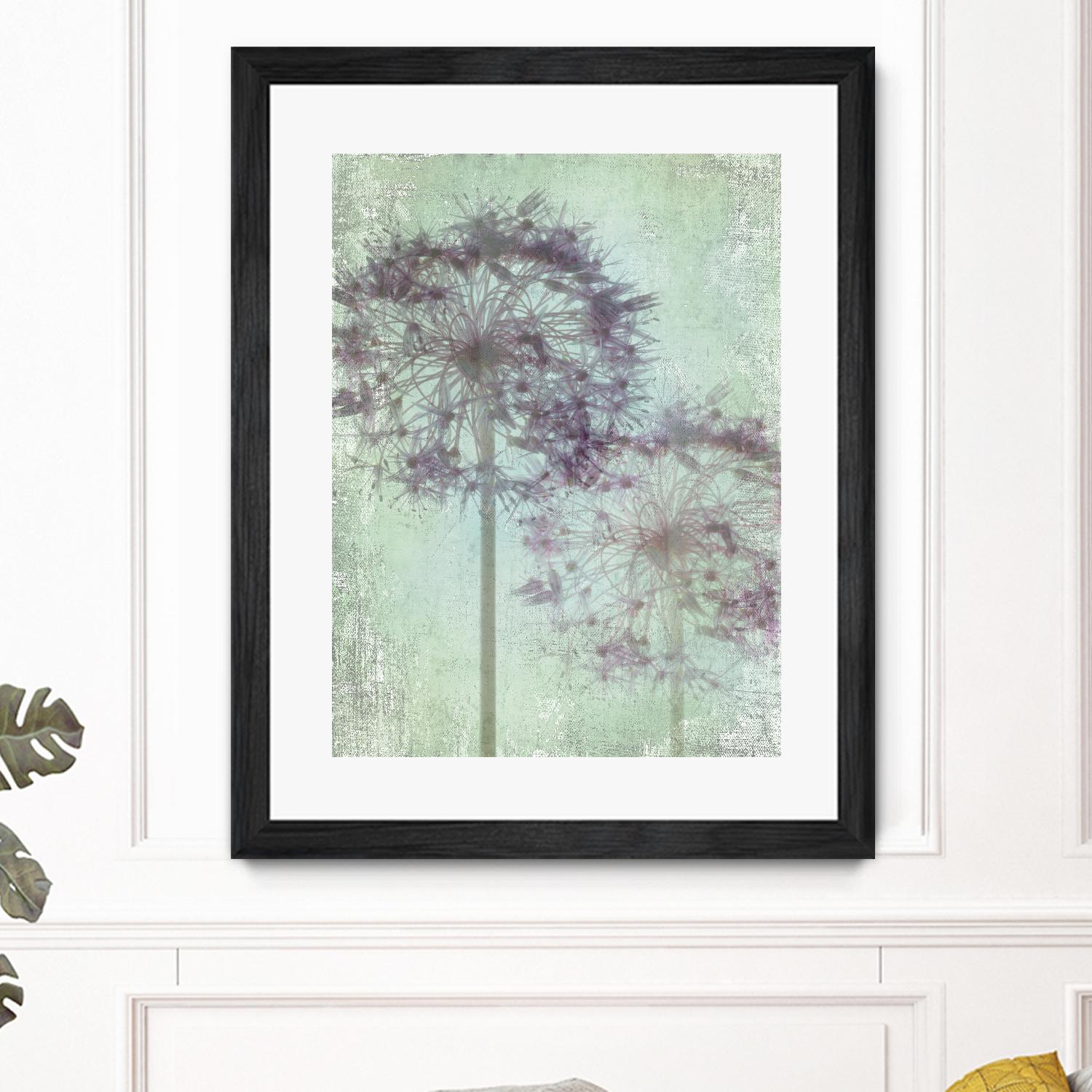 Allium Globe Master by Judy Stalus on GIANT ART - multicolor photography; floral/still life