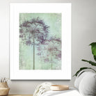 Allium Globe Master by Judy Stalus on GIANT ART - multicolor photography; floral/still life