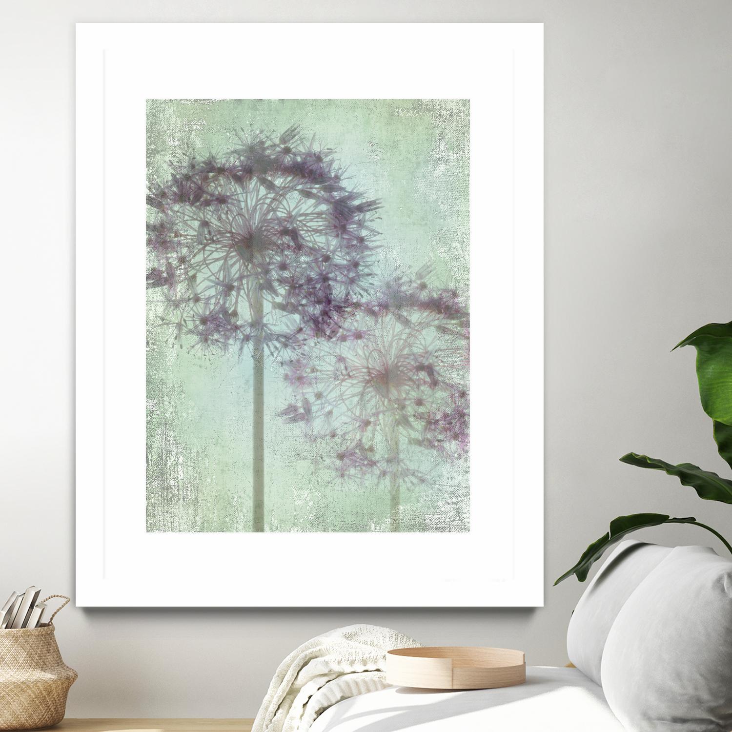 Allium Globe Master by Judy Stalus on GIANT ART - multicolor photography; floral/still life