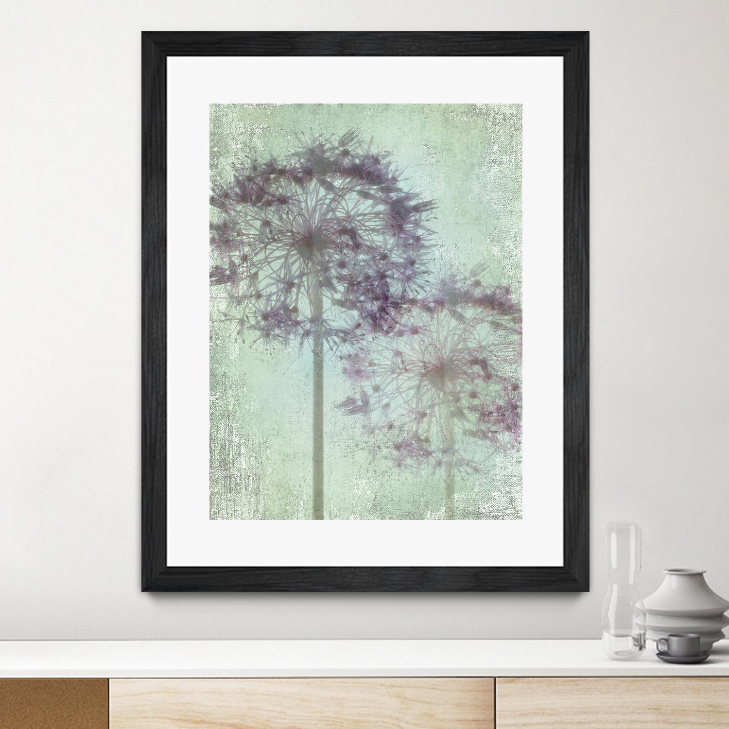 Allium Globe Master by Judy Stalus on GIANT ART - multicolor photography; floral/still life