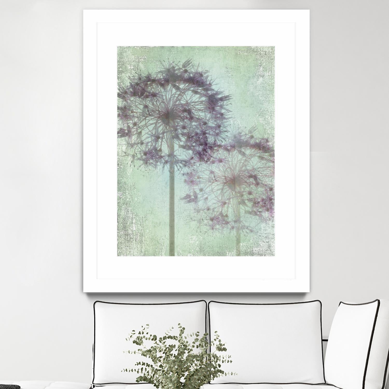 Allium Globe Master by Judy Stalus on GIANT ART - multicolor photography; floral/still life