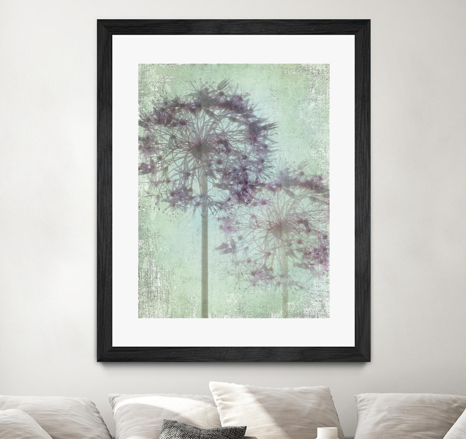 Allium Globe Master by Judy Stalus on GIANT ART - multicolor photography; floral/still life