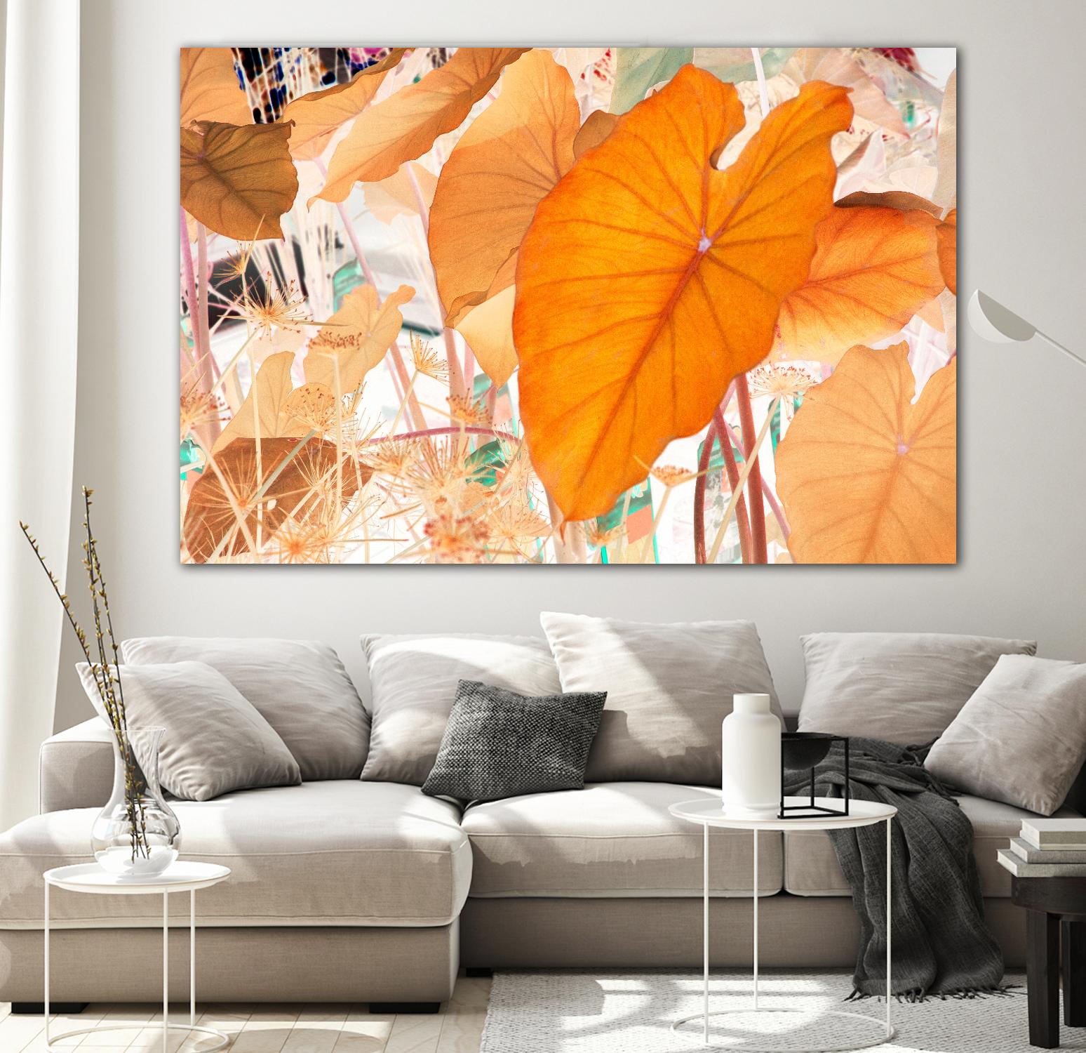 Elephant Ears by Judy Stalus on GIANT ART - multicolor photography; floral/still life; contemporary