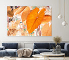 Elephant Ears by Judy Stalus on GIANT ART - multicolor photography; floral/still life; contemporary