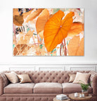 Elephant Ears by Judy Stalus on GIANT ART - multicolor photography; floral/still life; contemporary