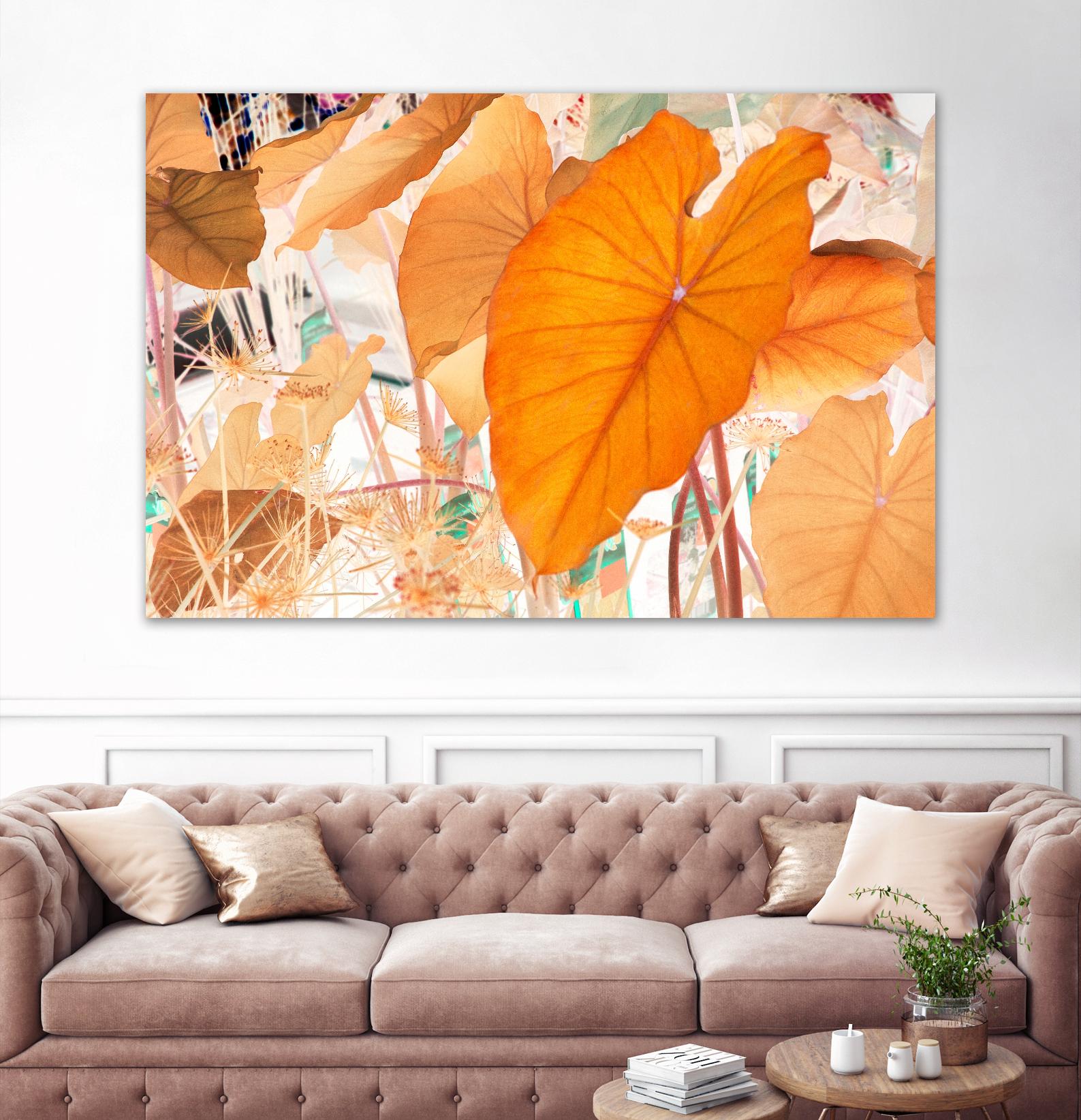 Elephant Ears by Judy Stalus on GIANT ART - multicolor photography; floral/still life; contemporary