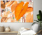Elephant Ears by Judy Stalus on GIANT ART - multicolor photography; floral/still life; contemporary