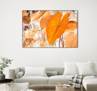 Elephant Ears by Judy Stalus on GIANT ART - multicolor photography; floral/still life; contemporary