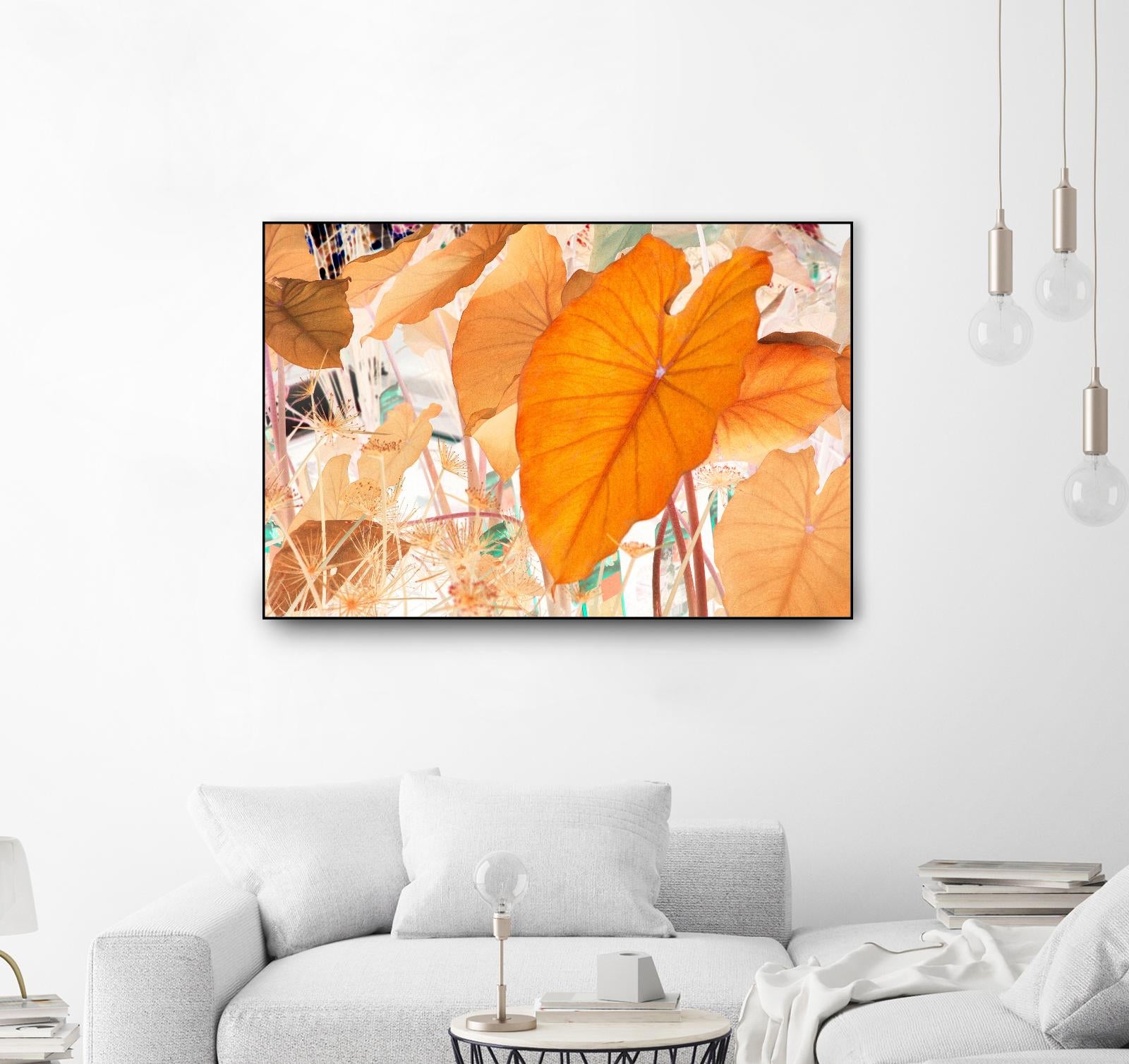 Elephant Ears by Judy Stalus on GIANT ART - multicolor photography; floral/still life; contemporary