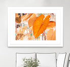 Elephant Ears by Judy Stalus on GIANT ART - multicolor photography; floral/still life; contemporary