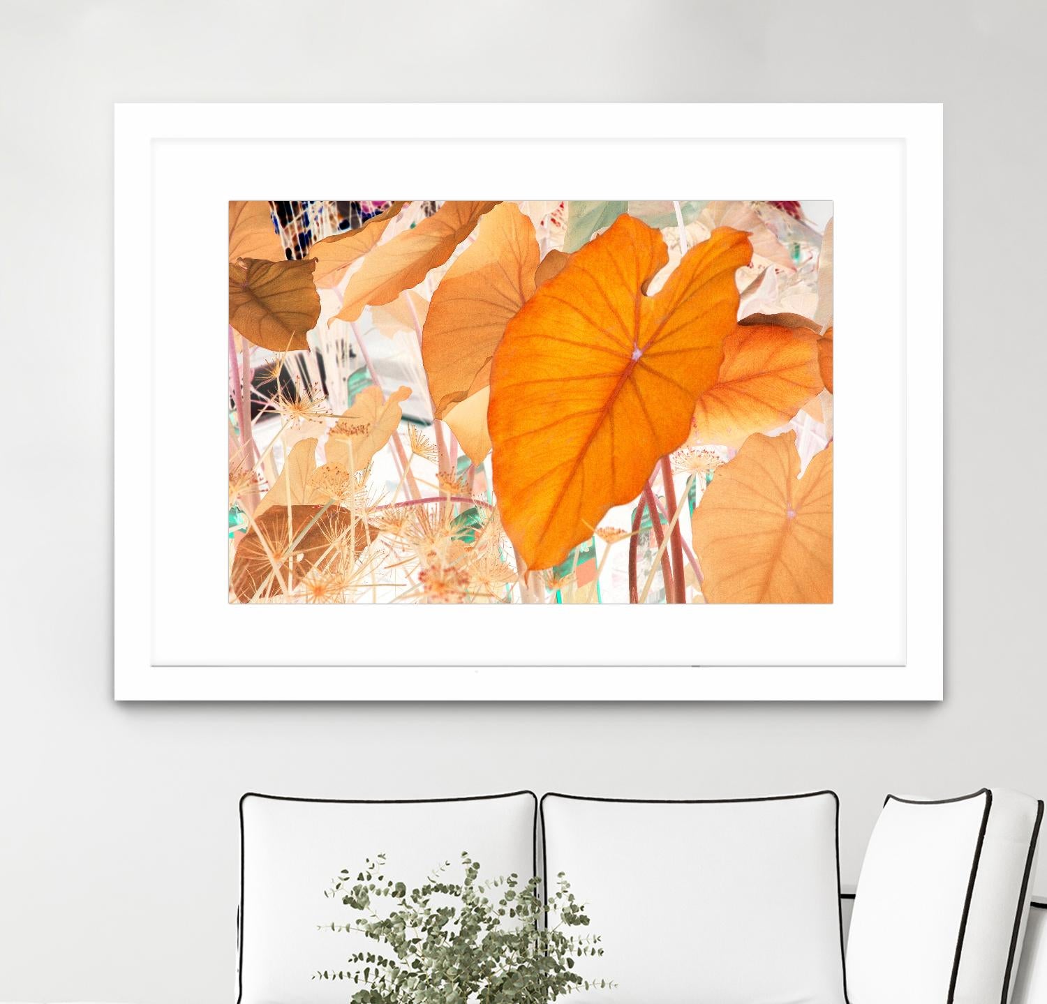 Elephant Ears by Judy Stalus on GIANT ART - multicolor photography; floral/still life; contemporary