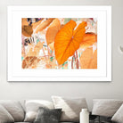 Elephant Ears by Judy Stalus on GIANT ART - multicolor photography; floral/still life; contemporary