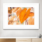 Elephant Ears by Judy Stalus on GIANT ART - multicolor photography; floral/still life; contemporary