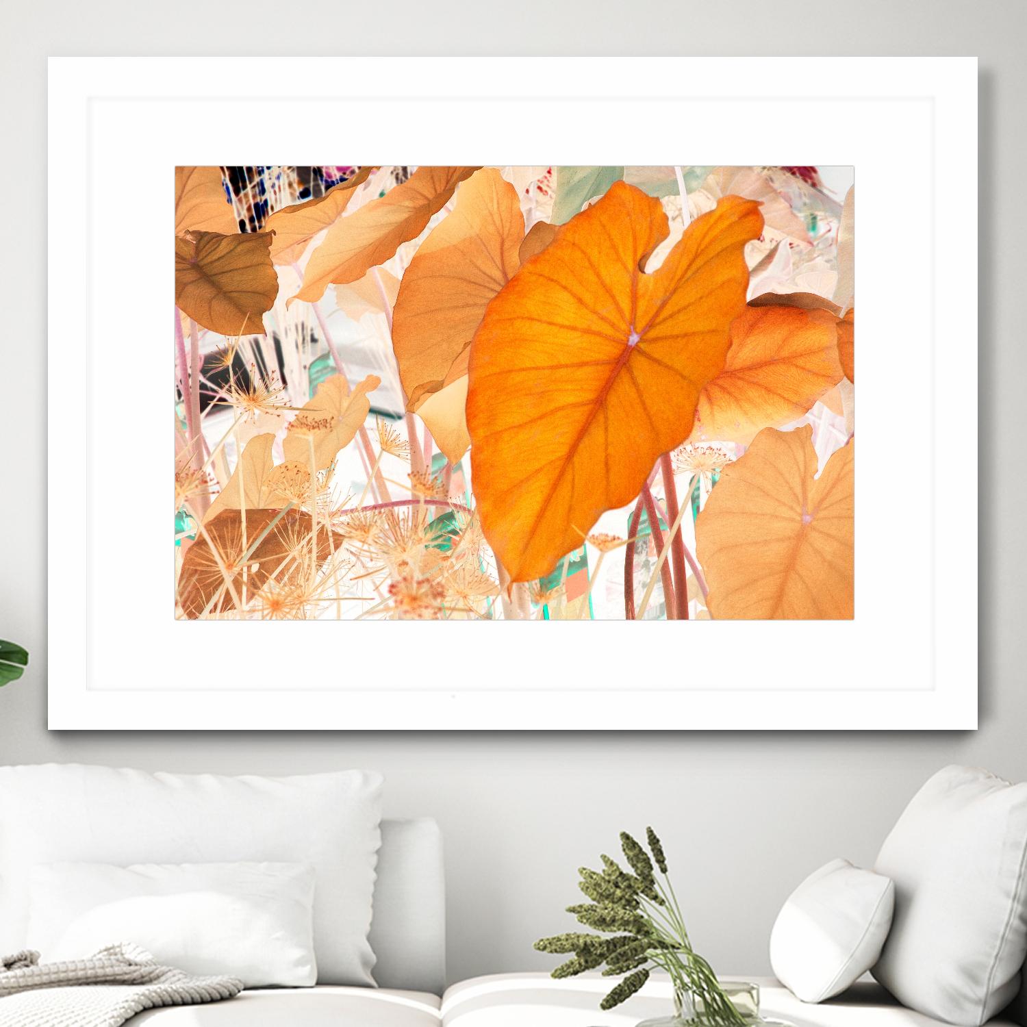 Elephant Ears by Judy Stalus on GIANT ART - multicolor photography; floral/still life; contemporary