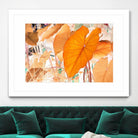 Elephant Ears by Judy Stalus on GIANT ART - multicolor photography; floral/still life; contemporary