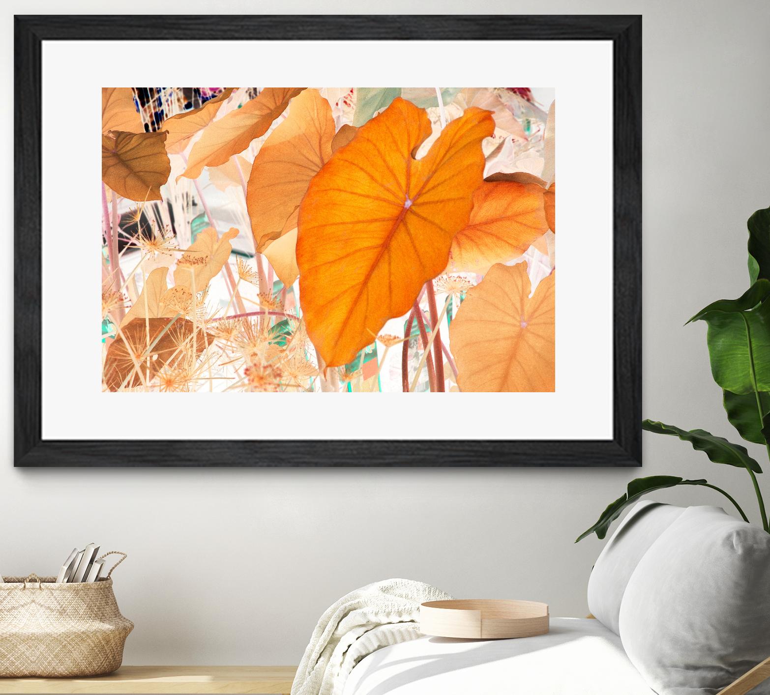 Elephant Ears by Judy Stalus on GIANT ART - multicolor photography; floral/still life; contemporary
