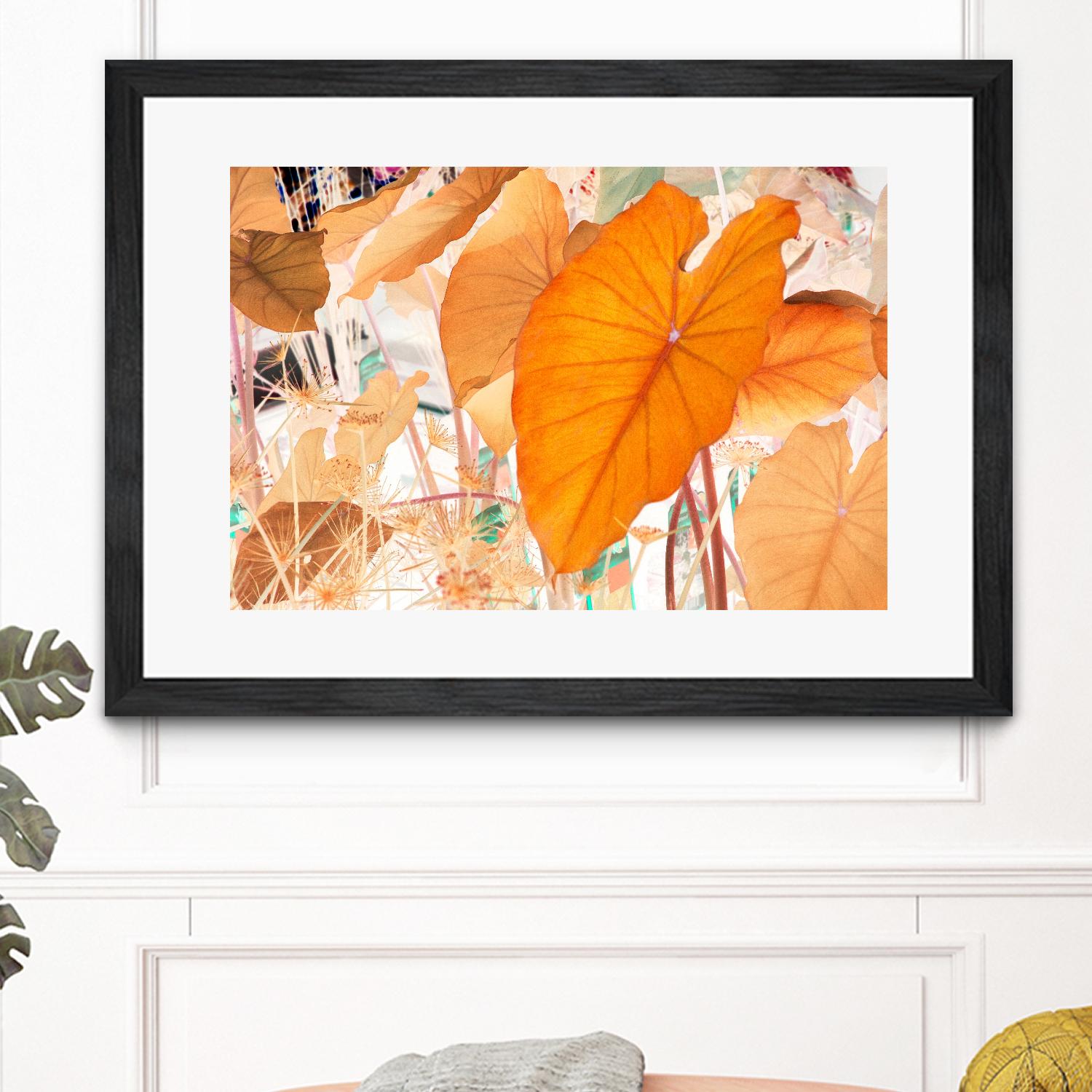 Elephant Ears by Judy Stalus on GIANT ART - multicolor photography; floral/still life; contemporary