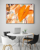 Elephant Ears by Judy Stalus on GIANT ART - multicolor photography; floral/still life; contemporary