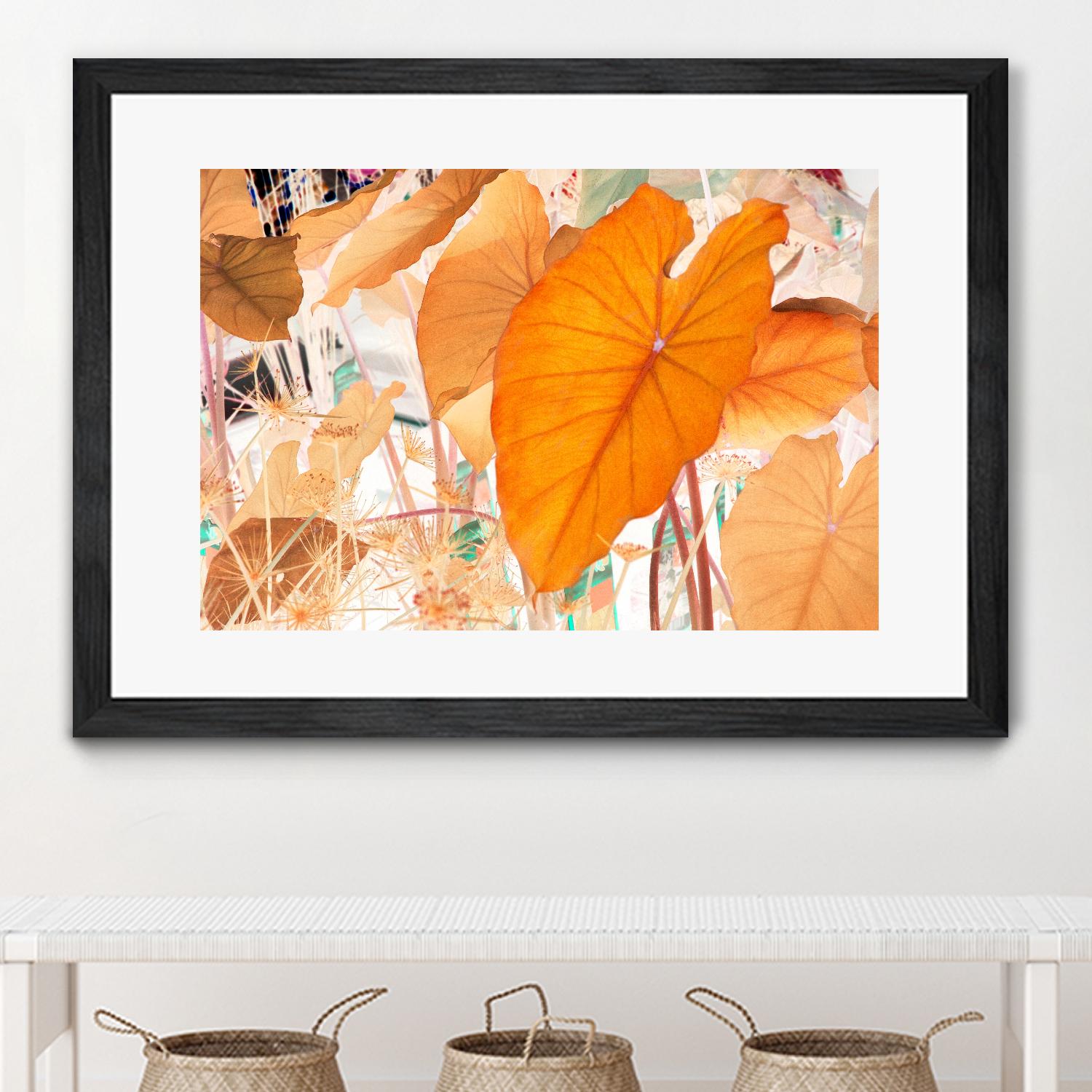 Elephant Ears by Judy Stalus on GIANT ART - multicolor photography; floral/still life; contemporary