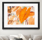Elephant Ears by Judy Stalus on GIANT ART - multicolor photography; floral/still life; contemporary