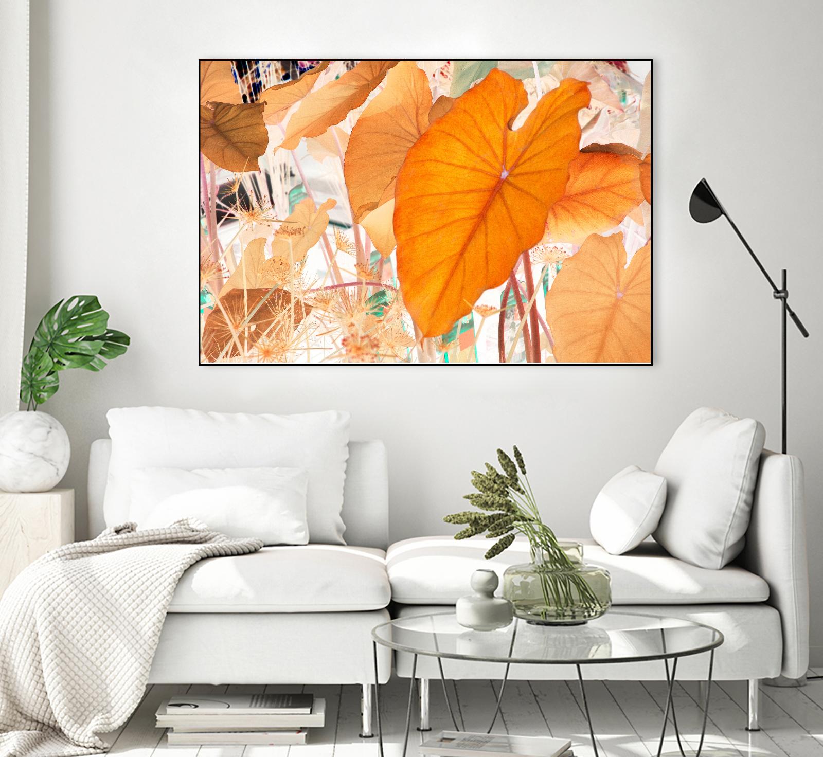 Elephant Ears by Judy Stalus on GIANT ART - multicolor photography; floral/still life; contemporary