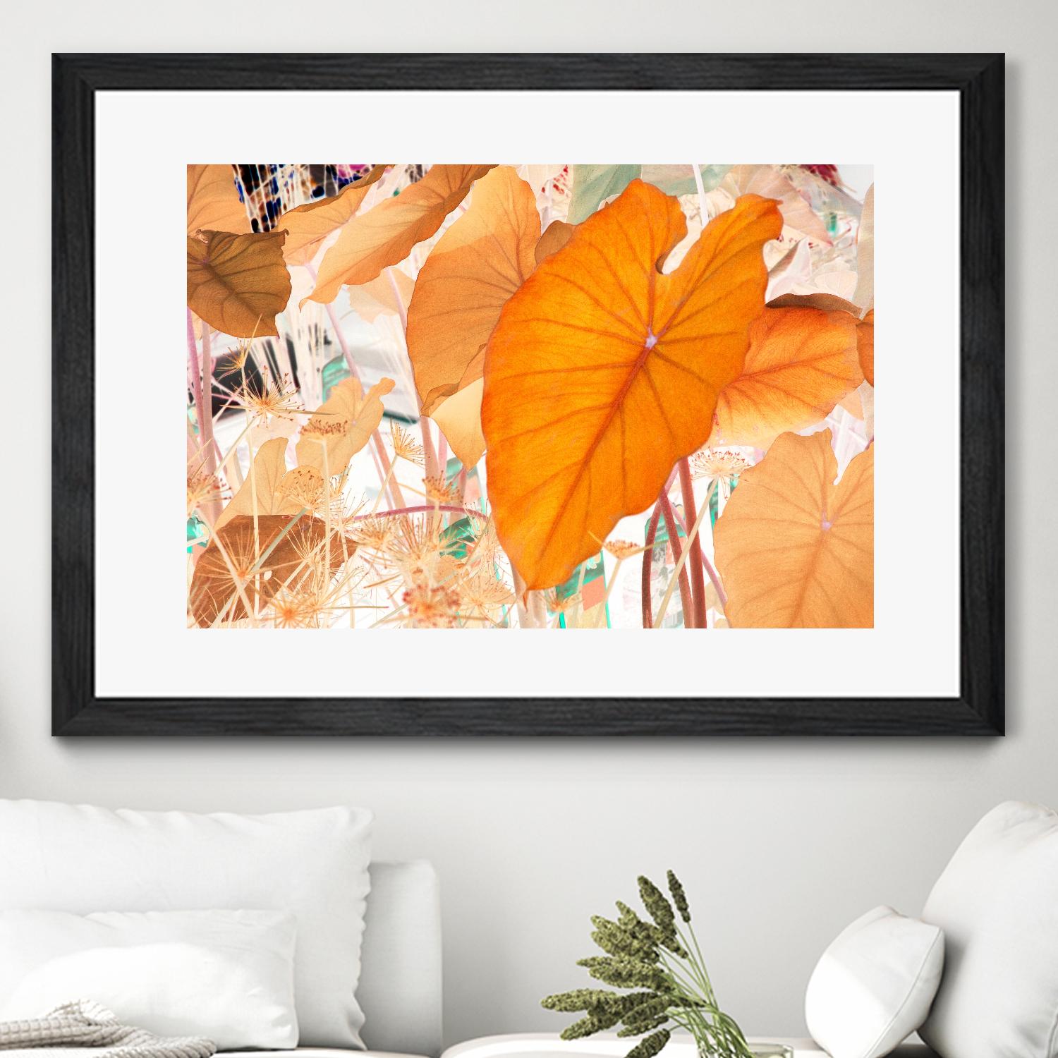 Elephant Ears by Judy Stalus on GIANT ART - multicolor photography; floral/still life; contemporary