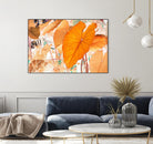 Elephant Ears by Judy Stalus on GIANT ART - multicolor photography; floral/still life; contemporary