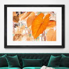 Elephant Ears by Judy Stalus on GIANT ART - multicolor photography; floral/still life; contemporary