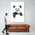 Funny Panda by Balazs Solti on GIANT ART - multicolor urban/pop surrealism