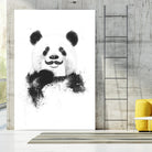 Funny Panda by Balazs Solti on GIANT ART - multicolor urban/pop surrealism