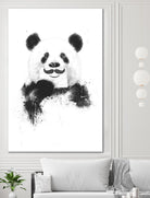 Funny Panda by Balazs Solti on GIANT ART - multicolor urban/pop surrealism