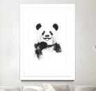 Funny Panda by Balazs Solti on GIANT ART - multicolor urban/pop surrealism