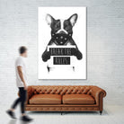 Rebel Dog by Balazs Solti on GIANT ART - multicolor urban/pop surrealism
