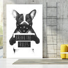 Rebel Dog by Balazs Solti on GIANT ART - multicolor urban/pop surrealism