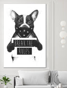 Rebel Dog by Balazs Solti on GIANT ART - multicolor urban/pop surrealism