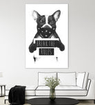 Rebel Dog by Balazs Solti on GIANT ART - multicolor urban/pop surrealism