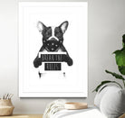 Rebel Dog by Balazs Solti on GIANT ART - multicolor urban/pop surrealism