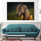 Born To Be Wild by Anne Schneidersmann on GIANT ART - multicolor photography; animals