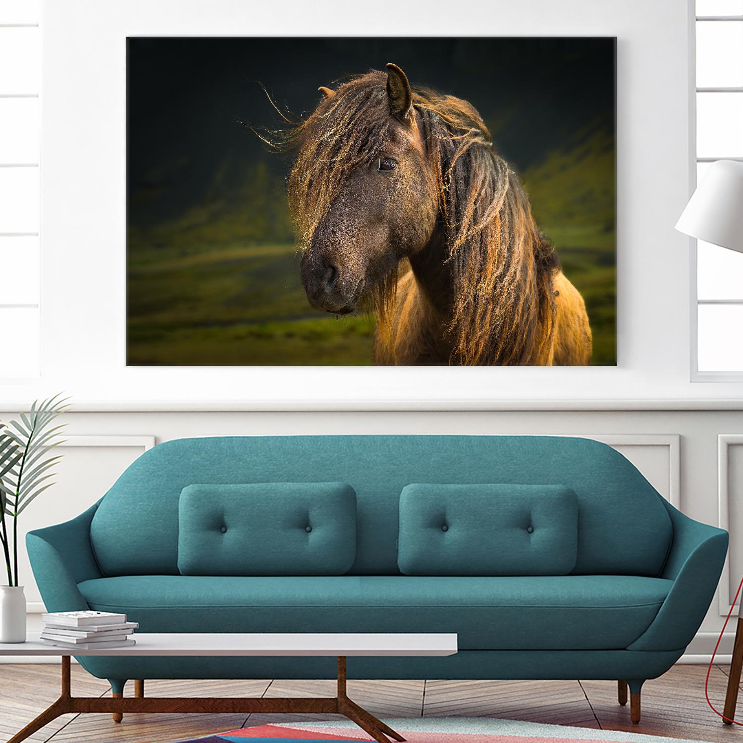 Born To Be Wild by Anne Schneidersmann on GIANT ART - multicolor photography; animals