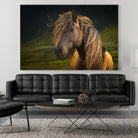 Born To Be Wild by Anne Schneidersmann on GIANT ART - multicolor photography; animals