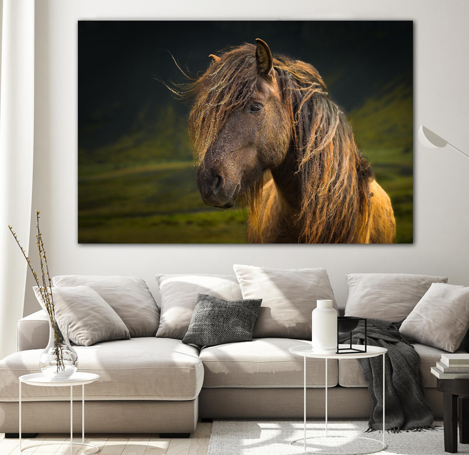 Born To Be Wild by Anne Schneidersmann on GIANT ART - multicolor photography; animals